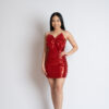 Gifted Dress
