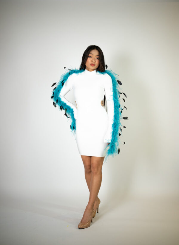 Alt text: "White bodycon high-neck long sleeve dress called Birdie, featuring side cutouts lined with rhinestones and a blue and black feather trim down the arms, perfect for special occasions."